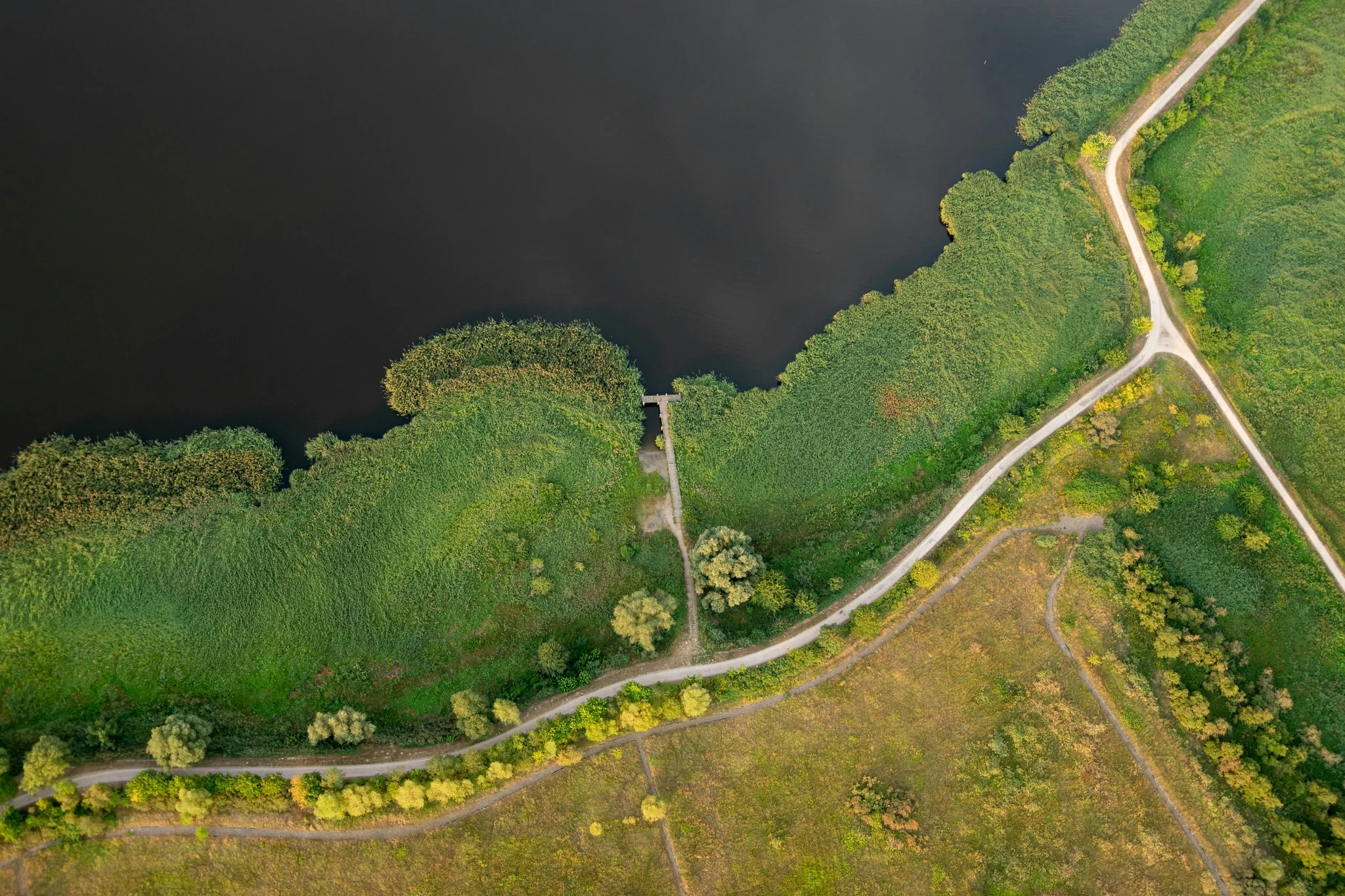Grünes Ufer Grün bewachsenes Ufer von oben